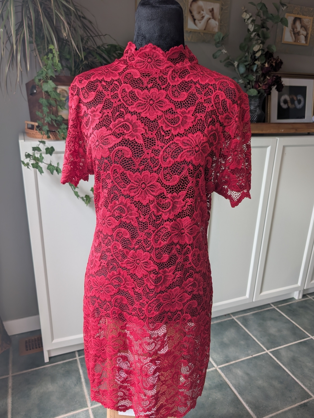 Red Lace Short Sleeve Sheath Dress